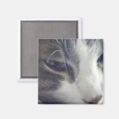 Aimant Jolie Kitty (Recto/Verso)