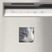 Aimant Jolie Kitty (In Situ (Lave-vaisselle))