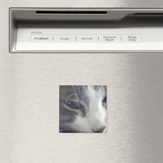 Aimant Jolie Kitty (In Situ (Lave-vaisselle))