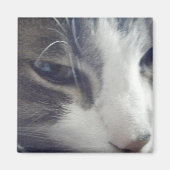 Aimant Jolie Kitty (Devant)