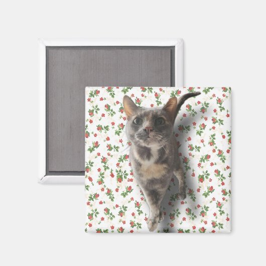 Aimant Jolie Kitty (Recto/Verso)