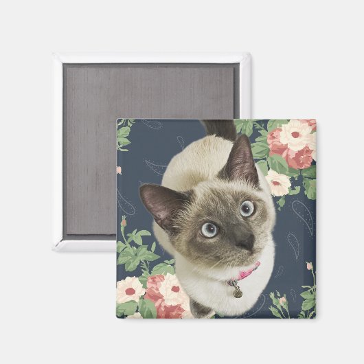 Aimant Jolie Kitty (Recto/Verso)