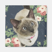 Aimant Jolie Kitty (Devant)