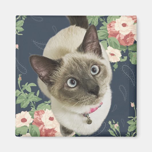 Aimant Jolie Kitty (Devant)