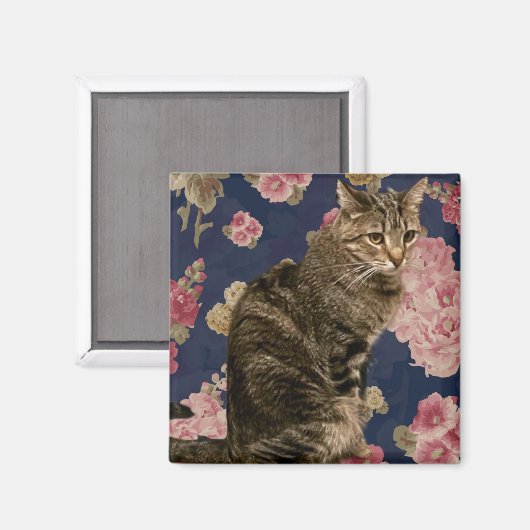 Aimant Jolie Kitty (Recto/Verso)