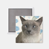 Aimant Jolie Kitty (Recto/Verso)