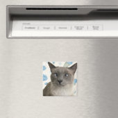 Aimant Jolie Kitty (In Situ (Lave-vaisselle))