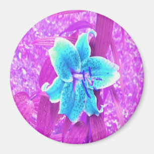 Aimant Jolie lis Stargazer bleu aqua sur fond violet
