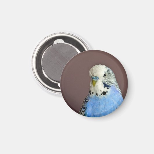 Aimant Jolie prise bleue (Recto/Verso)