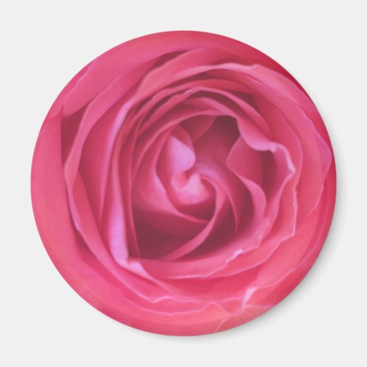 Aimant Jolie Rose Rose (Devant)