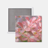 Aimant Jolies branches roses (Recto/Verso)