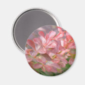 Aimant Jolies branches roses (Recto/Verso)