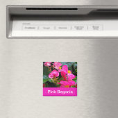 Aimant jolies fleurs de begonia rose (In Situ (Lave-vaisselle))