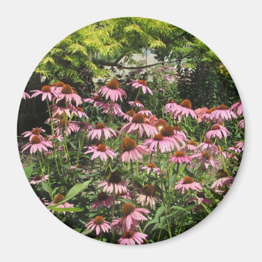 Aimant Jolies fleurs roses de l'aimant photo Midwest (Devant)