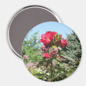 Aimant Jolies fleurs rouges de l'aimant photo Midwest (Recto/Verso)