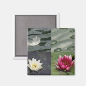 Aimant Jolies Nappes D'Eau (Recto/Verso)