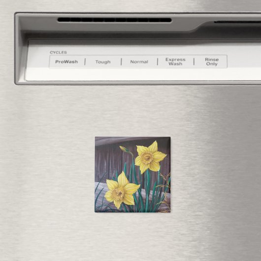 Aimant jonquille jaune (In Situ (Lave-vaisselle))