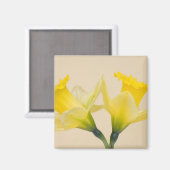 Aimant Jonquilles jaunes (Recto/Verso)