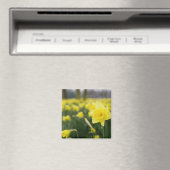 Aimant Jonquilles (RF) (In Situ (Lave-vaisselle))