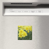 Aimant Jonquilles RF) (In Situ (Lave-vaisselle))