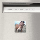 Aimant Josie la Mule (In Situ (Lave-vaisselle))