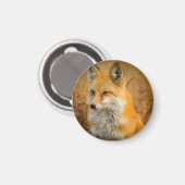 Aimant Jote Red Fox Wilderness Nature Photographie (Recto/Verso)