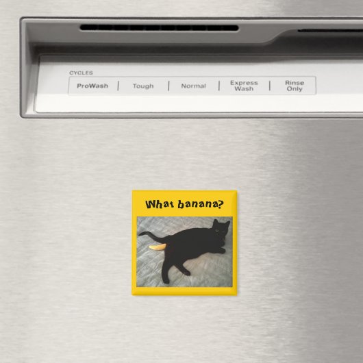 Aimant Jouet de chat bananier manquant (In Situ (Lave-vaisselle))