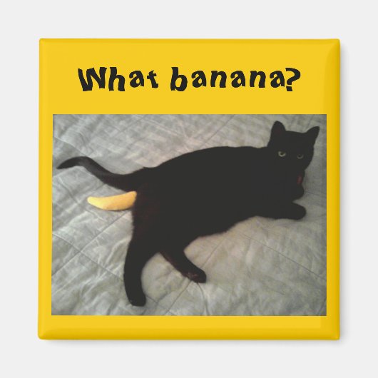 Aimant Jouet de chat bananier manquant (Devant)