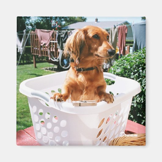 Aimant Jour de blanchisserie (Devant)