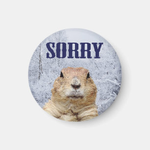 Aimant Jour de marmotte Désolés