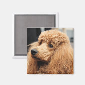 Aimant Jour des canicules 2010 #19 (Recto/Verso)