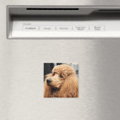 Aimant Jour des canicules 2010 #19 (In Situ (Lave-vaisselle))