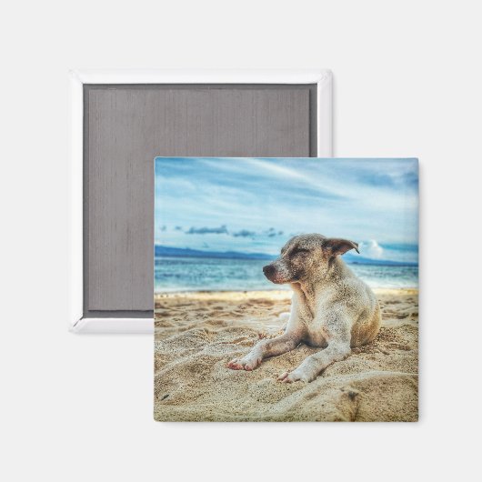 Aimant Journée de farniente de chien à la plage, Ocean Sa (Recto/Verso)