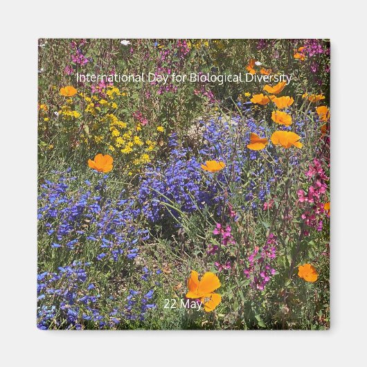 Aimant Journée internationale de la diversité biologique (Devant)