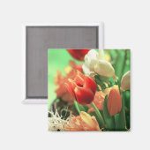 Aimant Joyeuses Tulipes de Pâques (Recto/Verso)