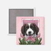Aimant Joyeux anniversaire - Anglais Springer Spaniel - B (Recto/Verso)