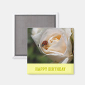Aimant Joyeux anniversaire. Belle rose blanche (Recto/Verso)