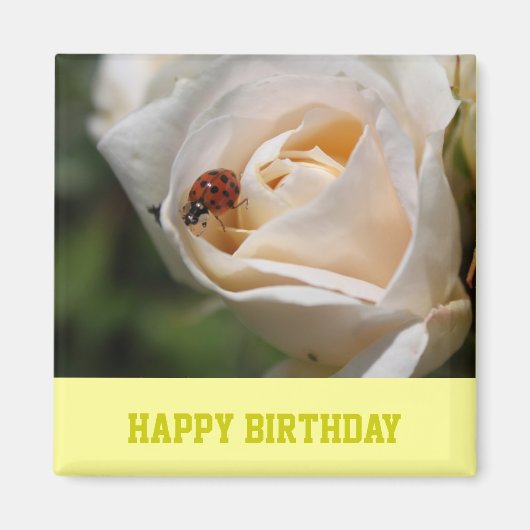 Aimant Joyeux anniversaire. Belle rose blanche (Devant)