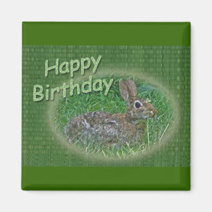 Aimant Joyeux Anniversaire Lapin Lapin Articles de coordi