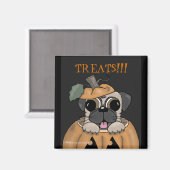 Aimant Joyeux Carlin d'Halloween dans Jack O'Lantern (Recto/Verso)