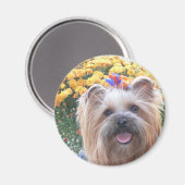 Aimant Joyeux chien (Recto/Verso)