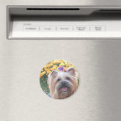 Aimant Joyeux chien (In Situ (Lave-vaisselle))