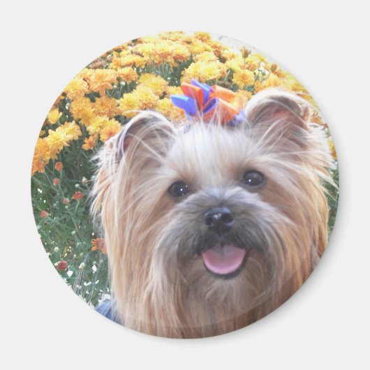 Aimant Joyeux chien (Devant)