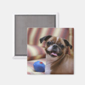 Aimant Joyeux chien avec jouet (Recto/Verso)