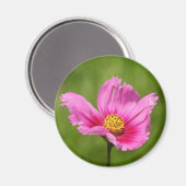 Aimant Joyeux Cosmos rose (Recto/Verso)
