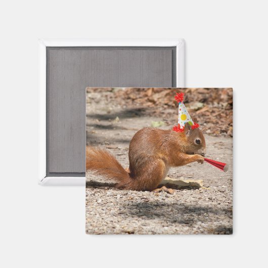 Aimant Joyeux écureuil d'anniversaire (Recto/Verso)
