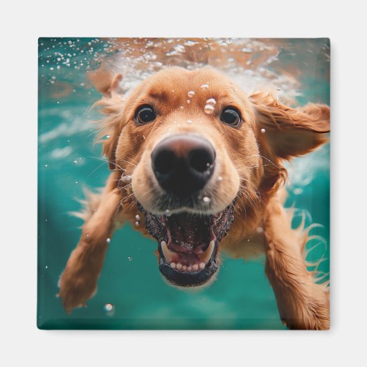Aimant Joyeux Golden Retriever nager sous l'eau (Devant)