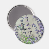 Aimant Joyeux Hummingbird II (Recto/Verso)