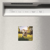 Aimant Joyeux Labrador Puppy Running (In Situ (Lave-vaisselle))