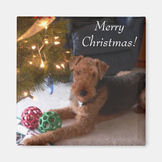 Aimant Joyeux Noël ! (Devant)